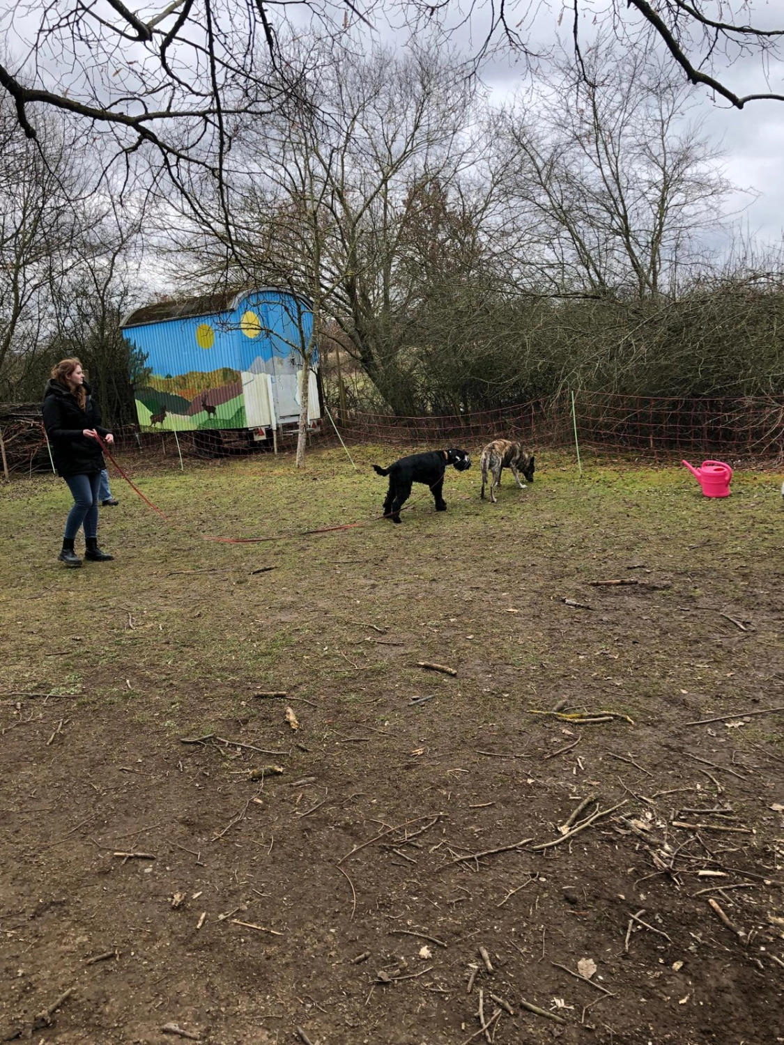 Mann leistet dem Hund Erste Hilfe von FellFibel