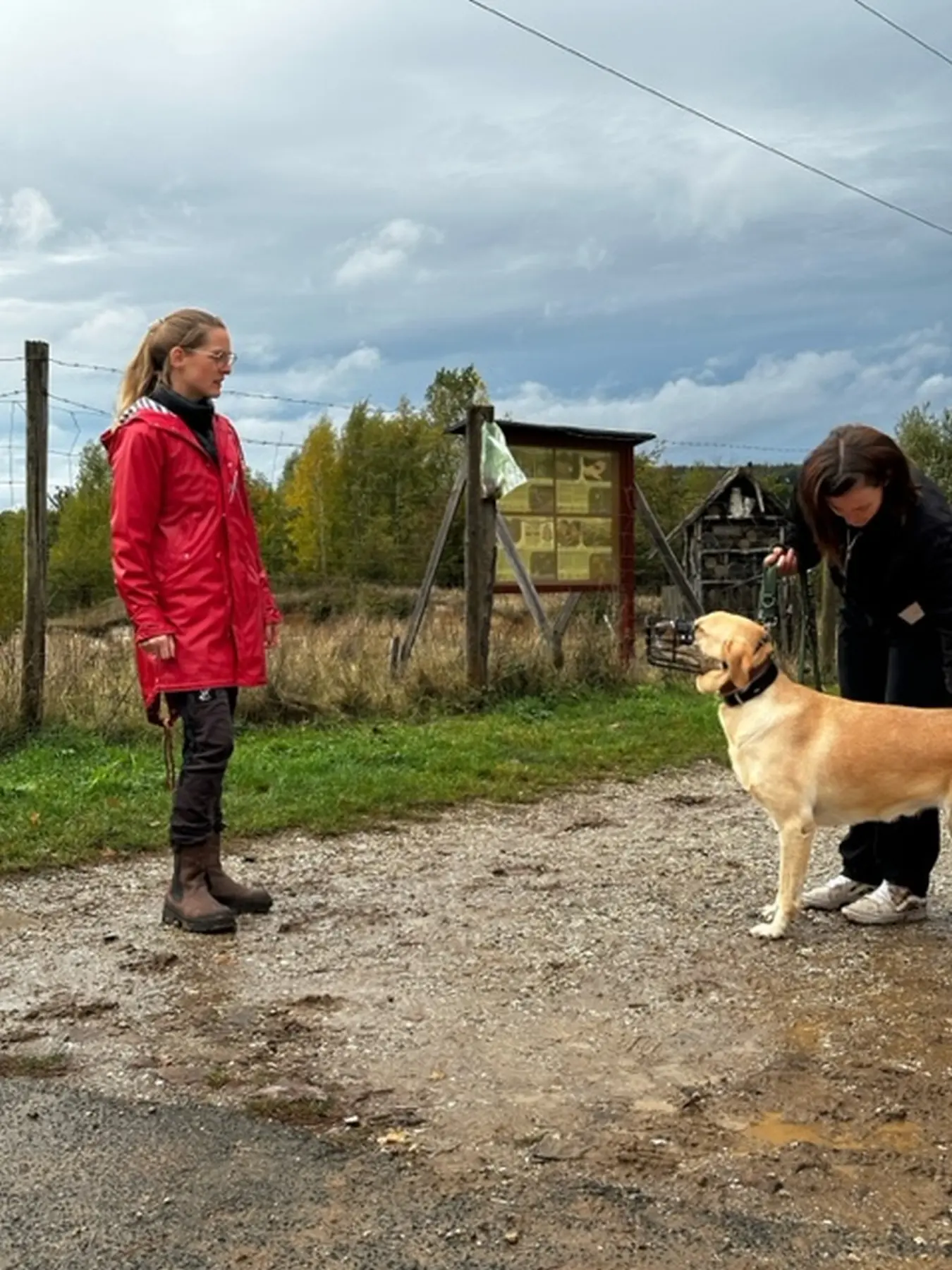 Mann leistet dem Hund Erste Hilfe von FellFibel