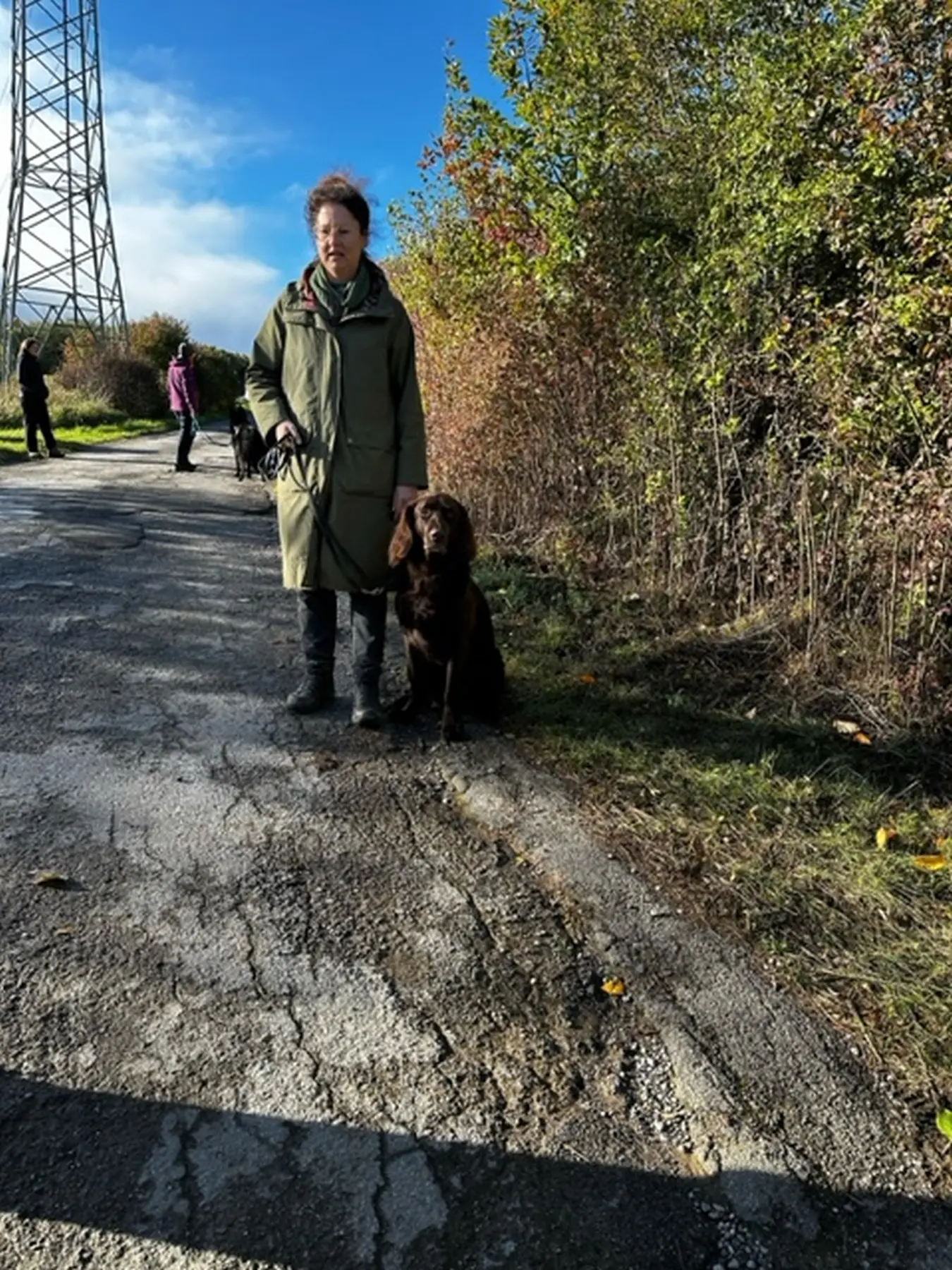 Mann leistet dem Hund Erste Hilfe von FellFibel