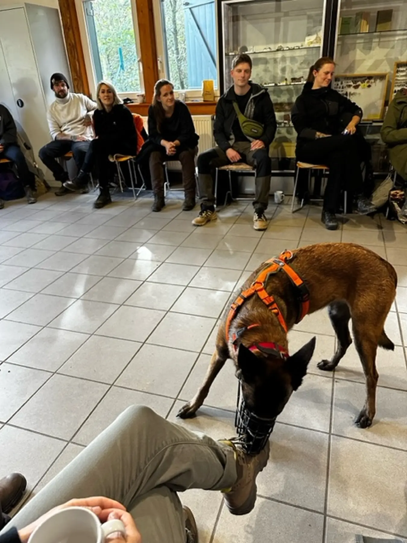 Mann leistet dem Hund Erste Hilfe von FellFibel