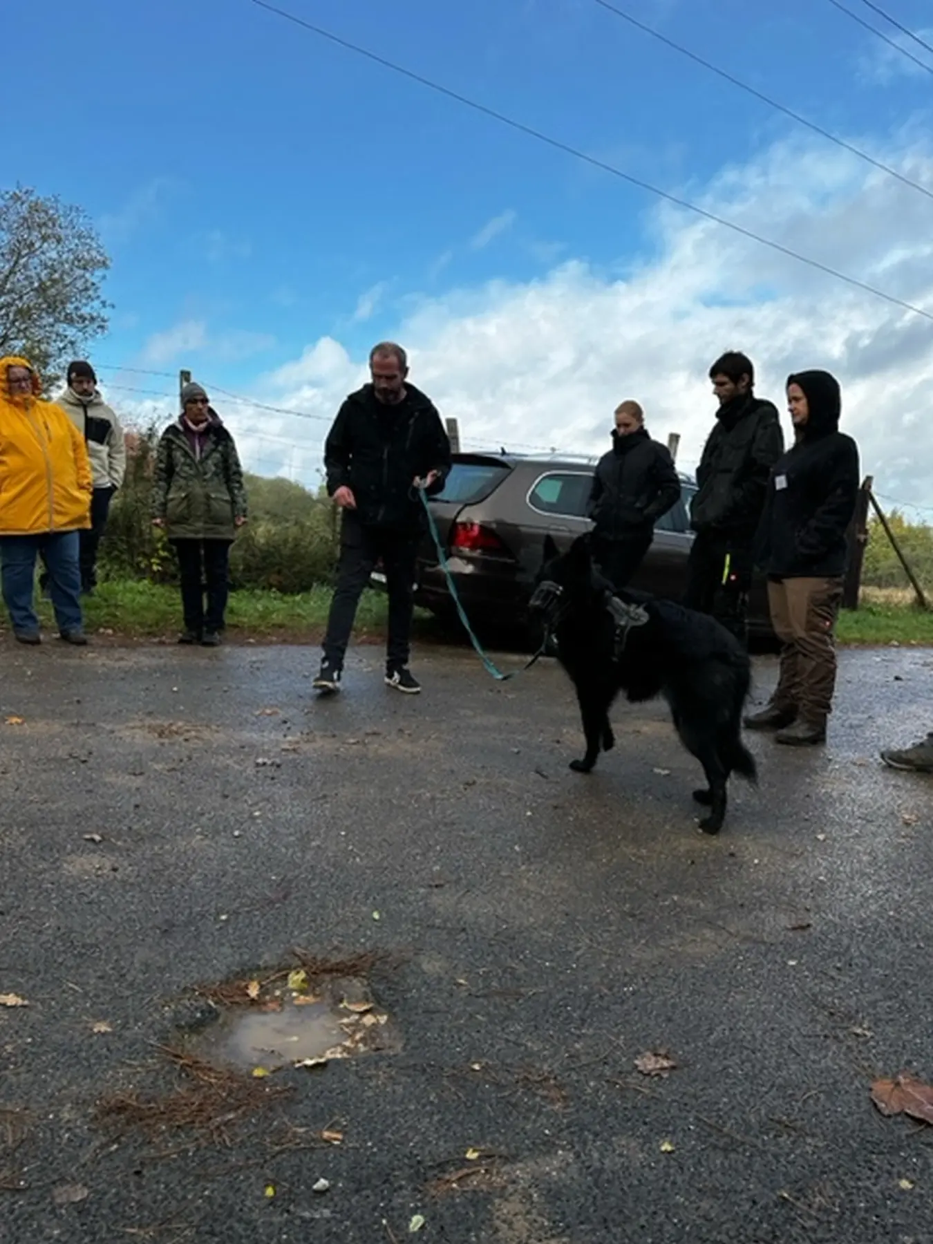 Mann leistet dem Hund Erste Hilfe von FellFibel