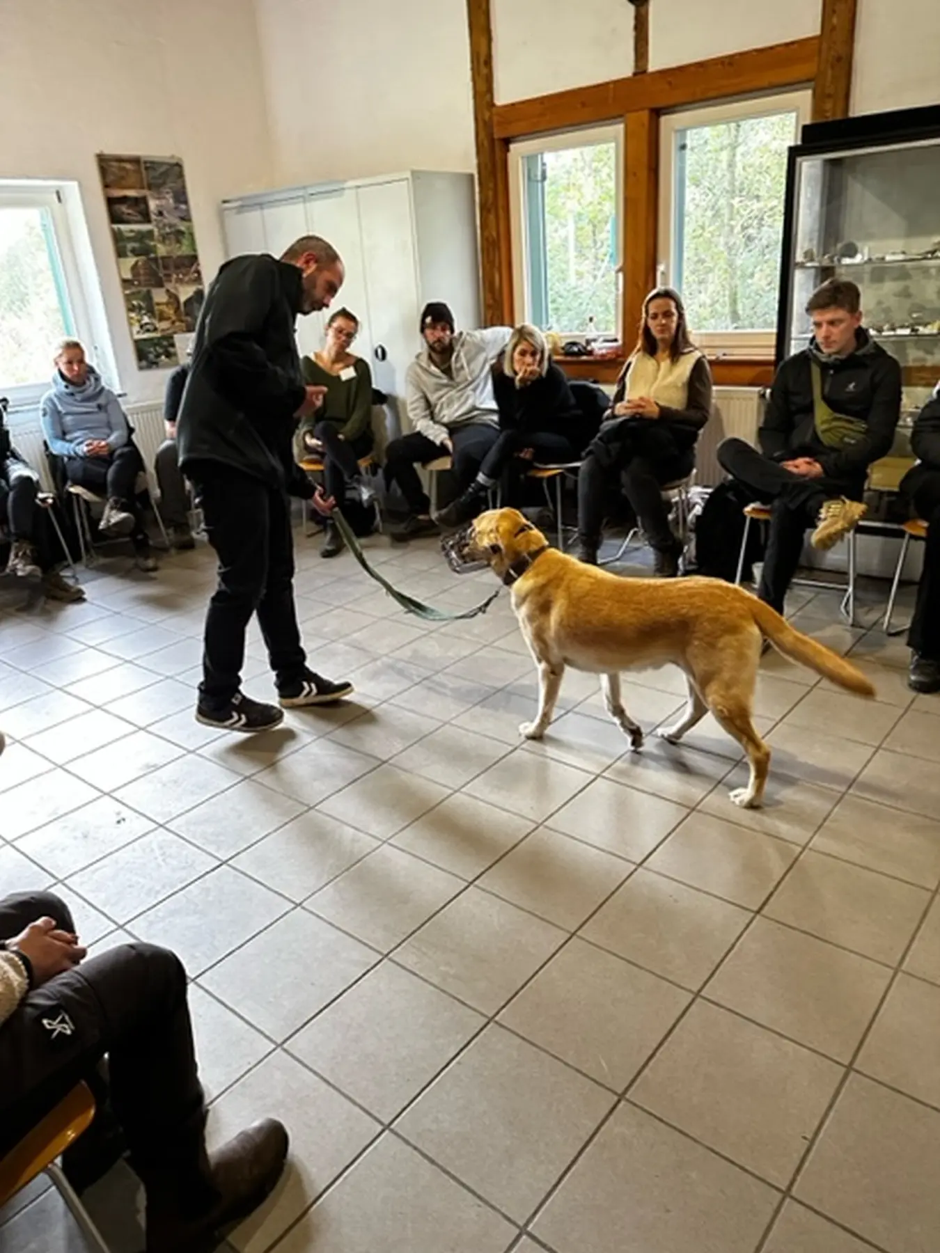 Mann leistet dem Hund Erste Hilfe von FellFibel