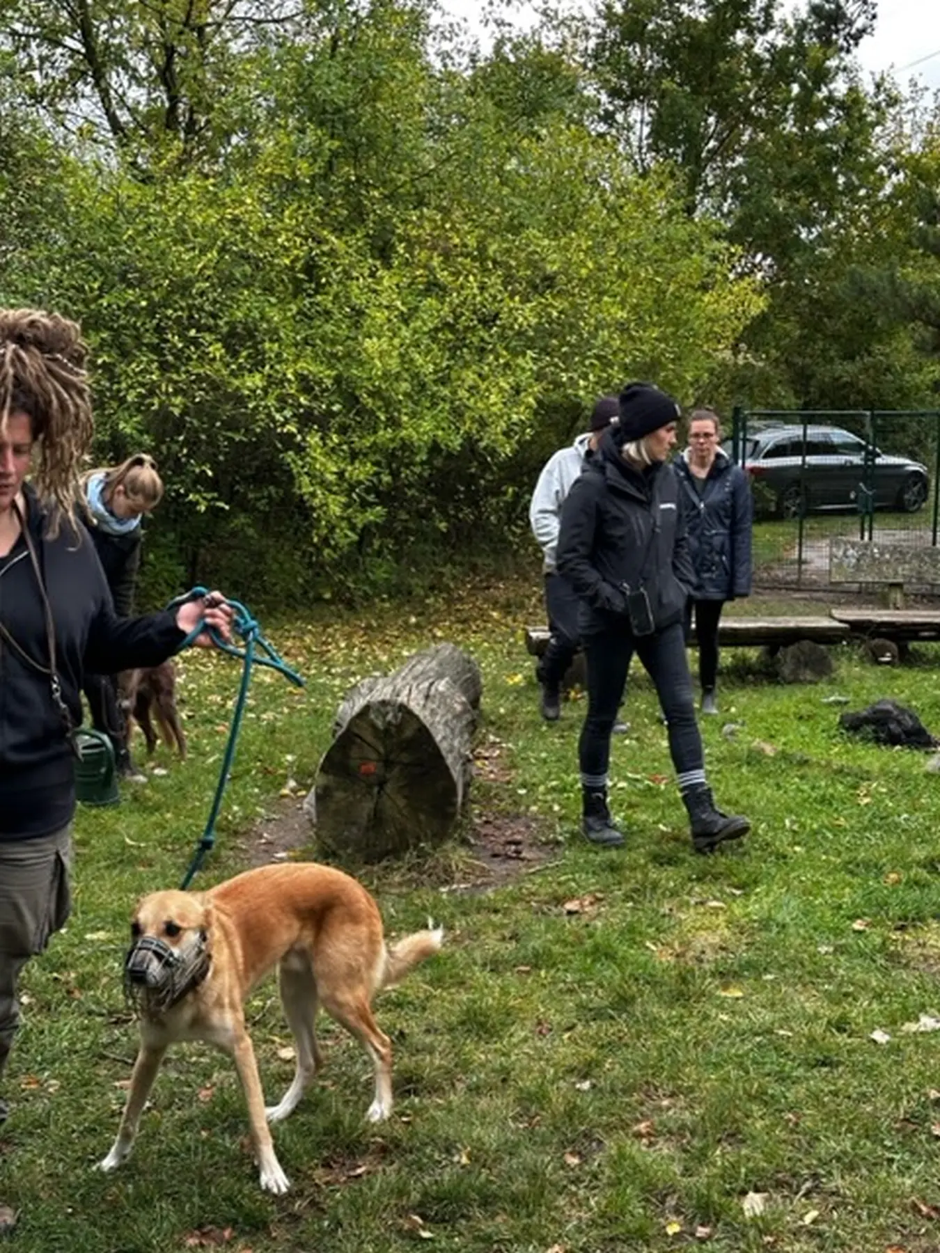 Mann leistet dem Hund Erste Hilfe von FellFibel