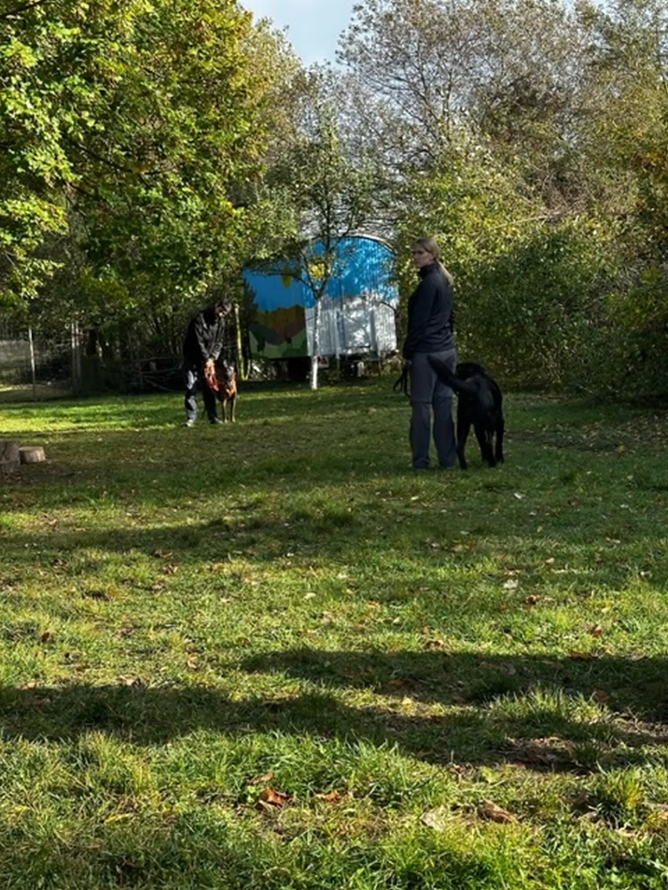 Mann leistet dem Hund Erste Hilfe von FellFibel