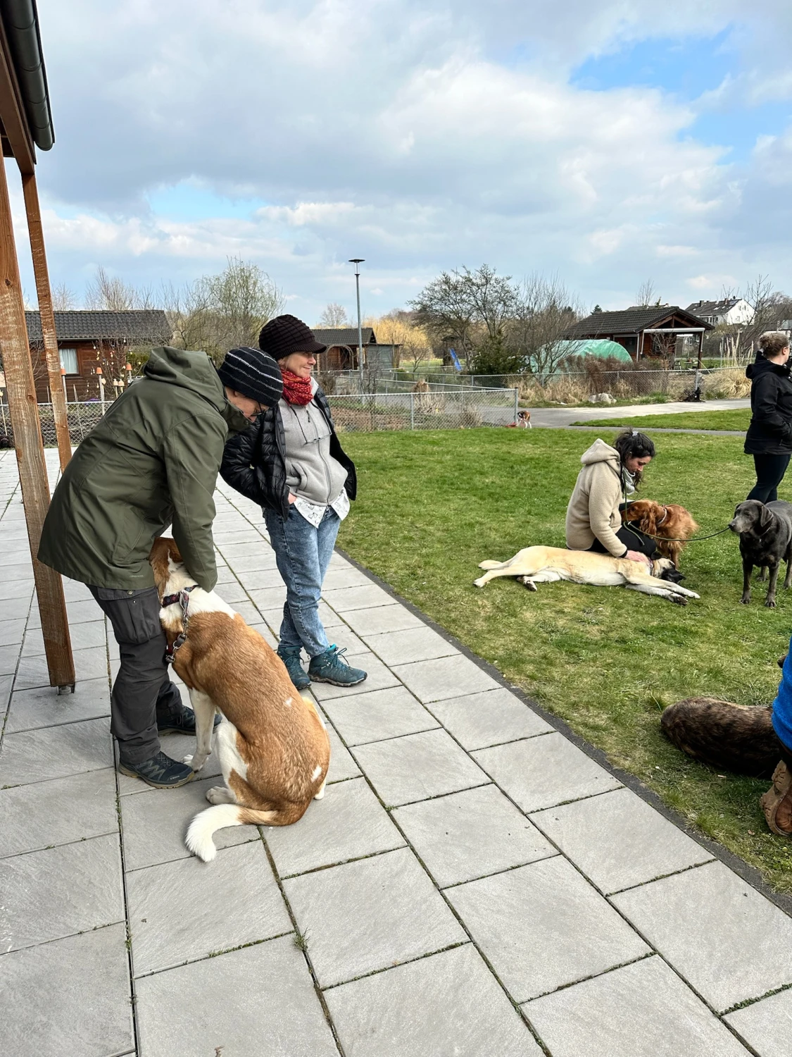 Mann leistet dem Hund Erste Hilfe von FellFibel