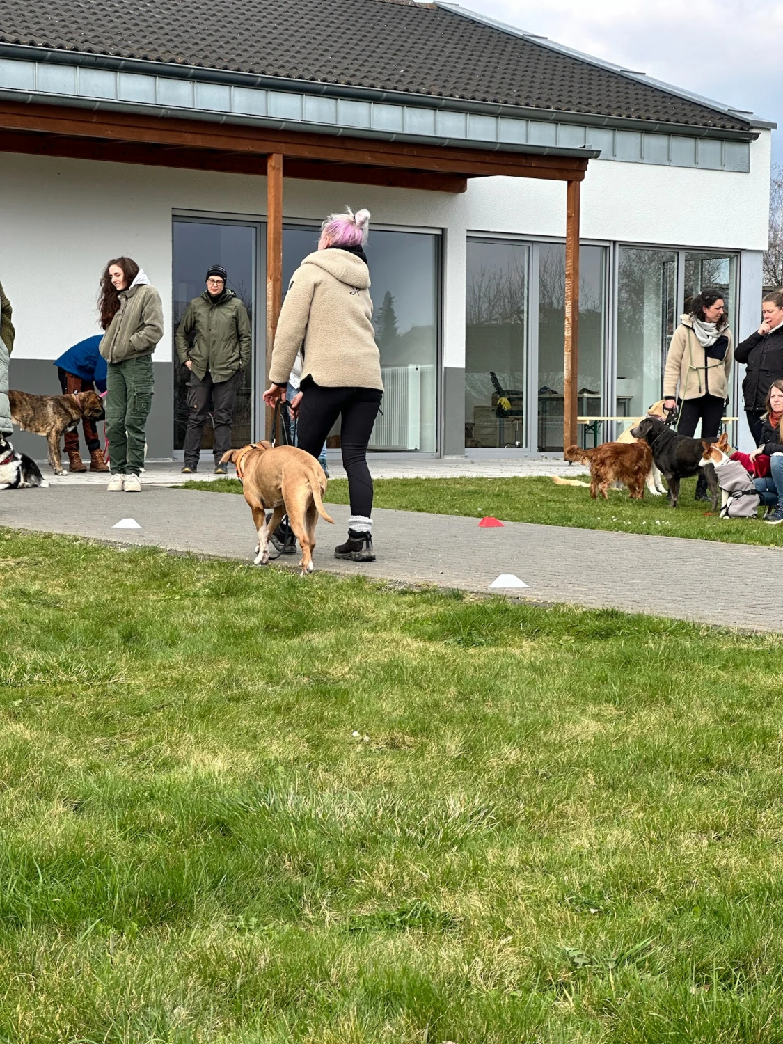 Mann leistet dem Hund Erste Hilfe von FellFibel