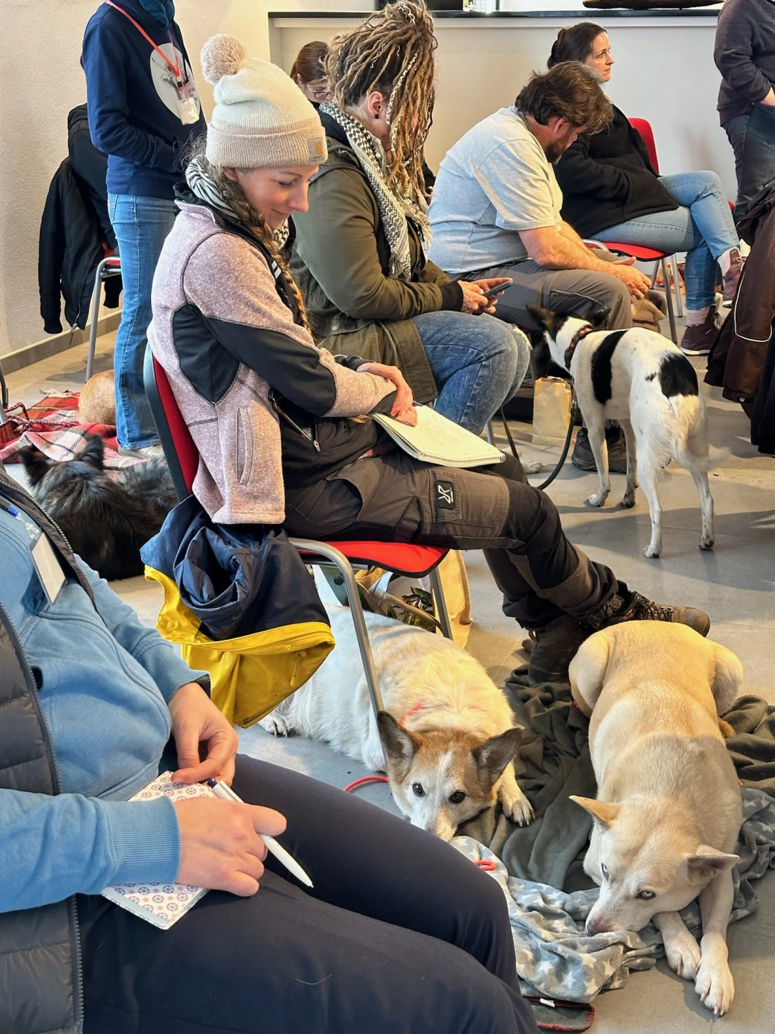 Mann leistet dem Hund Erste Hilfe von FellFibel