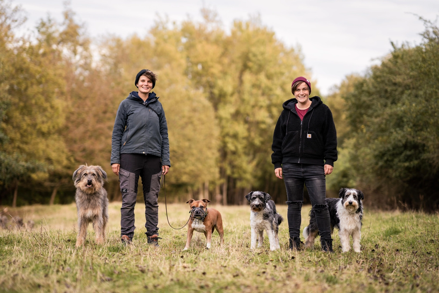 Ein Mann mit einer Hundecollage