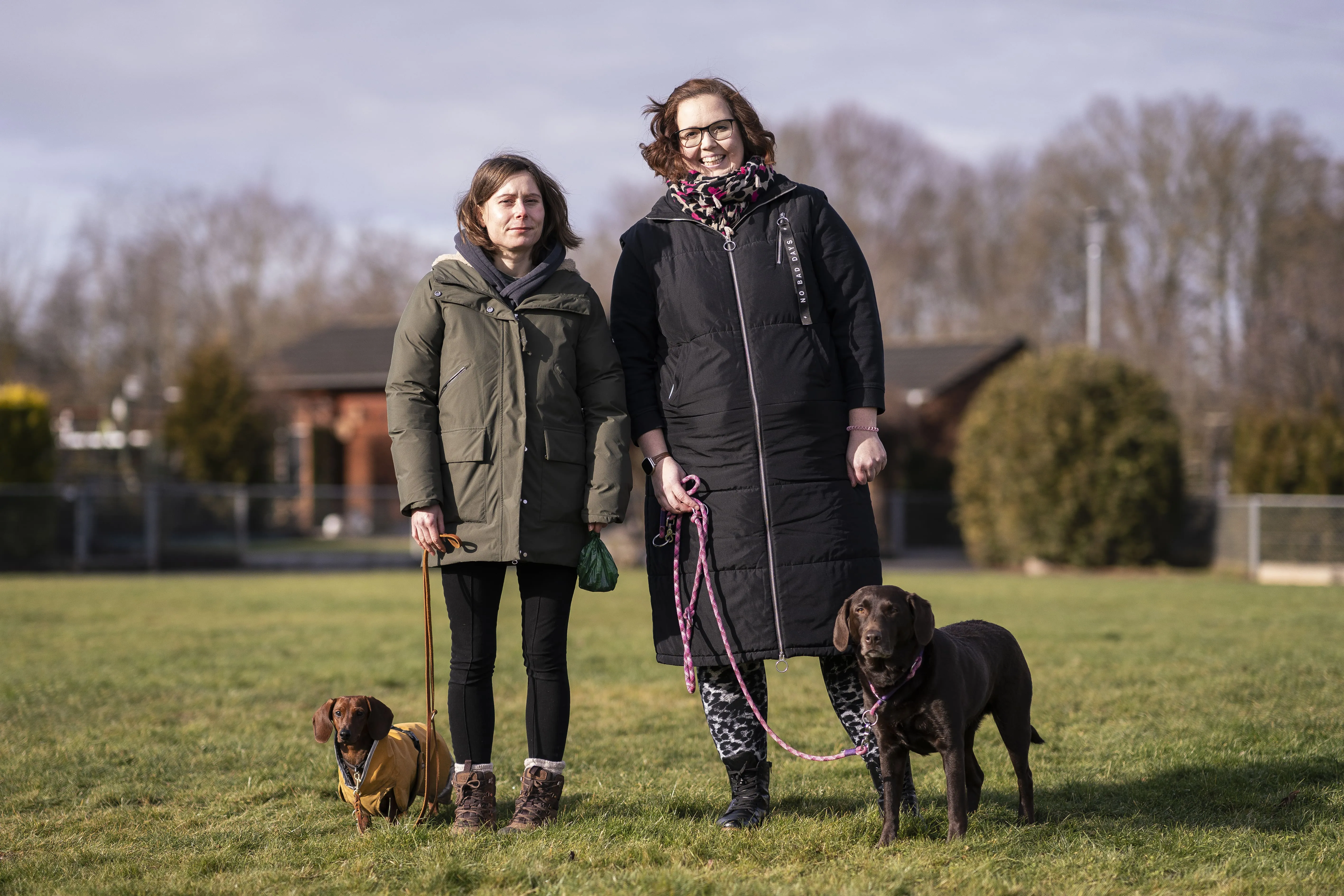 Mann leistet dem Hund Erste Hilfe von FellFibel