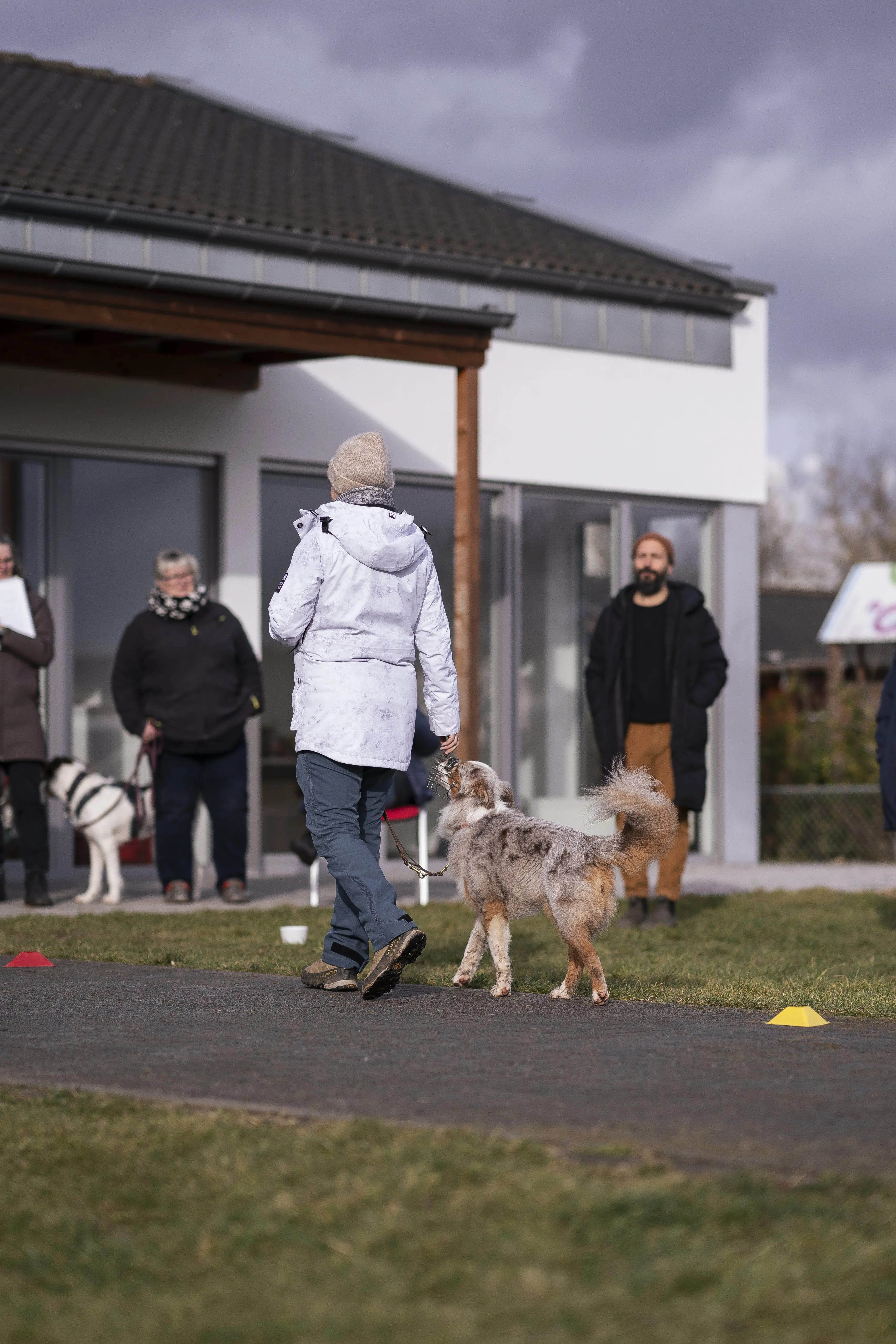Mann leistet dem Hund Erste Hilfe von FellFibel