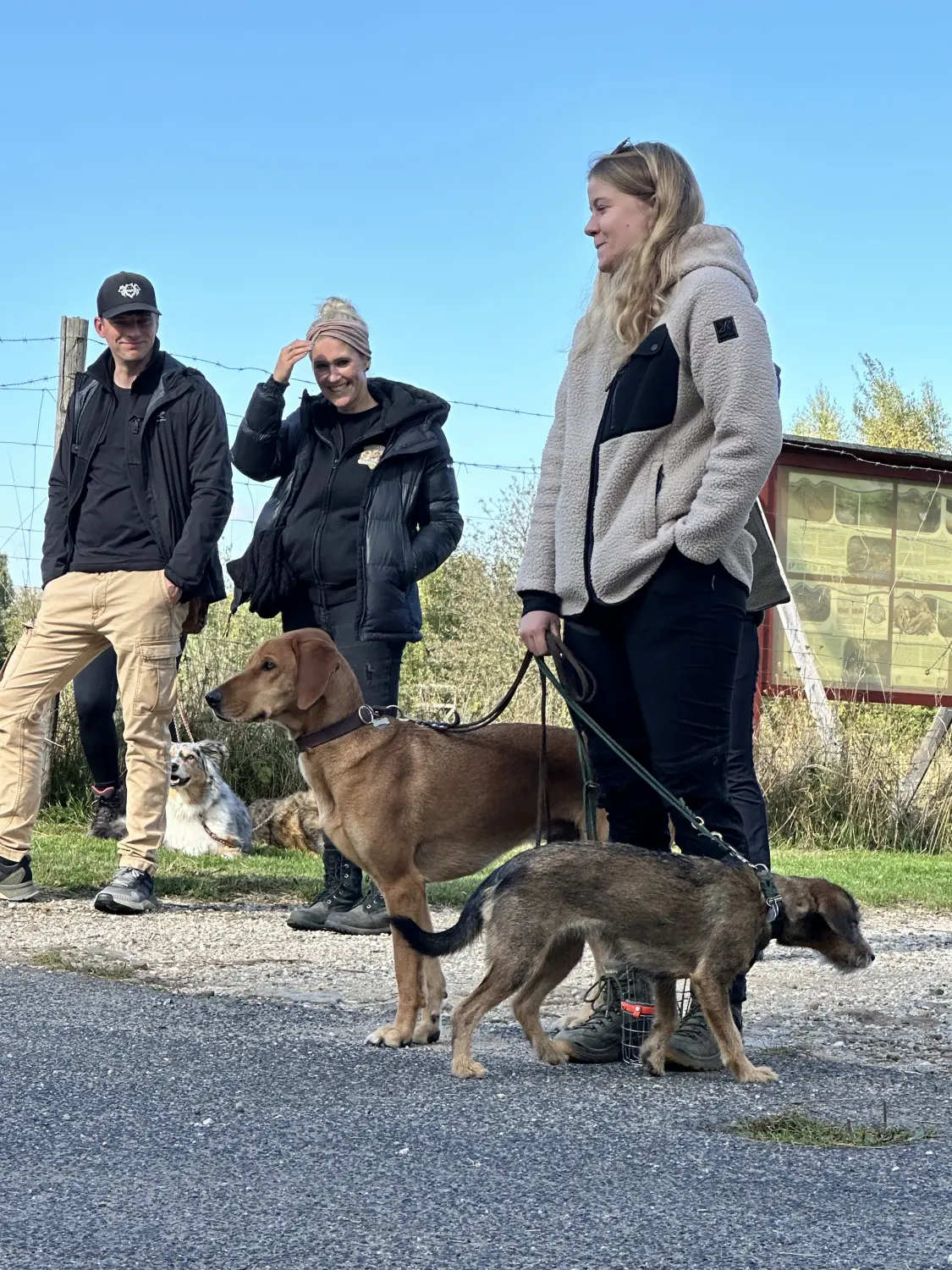 Mann leistet dem Hund Erste Hilfe von FellFibel