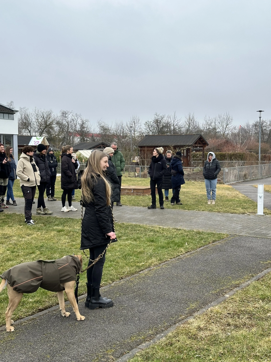 Mann leistet dem Hund Erste Hilfe von FellFibel