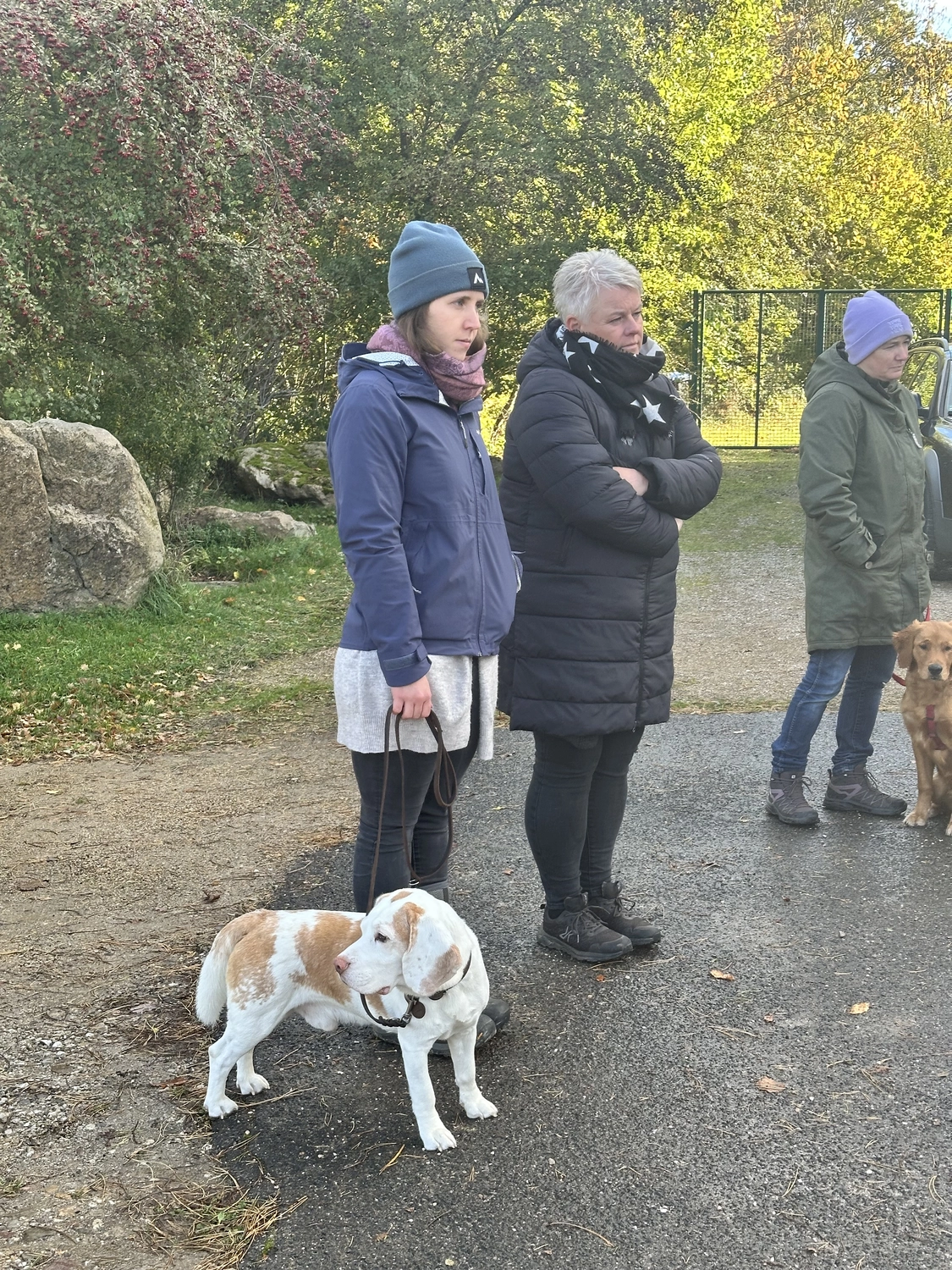 Ein Mann mit einer Hundecollage