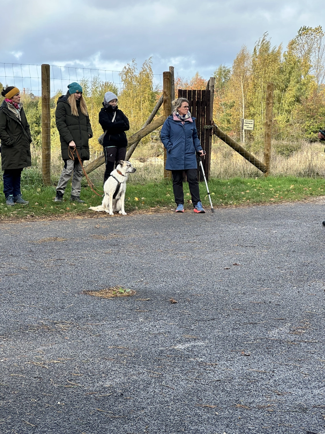 Ein Mann mit einer Hundecollage