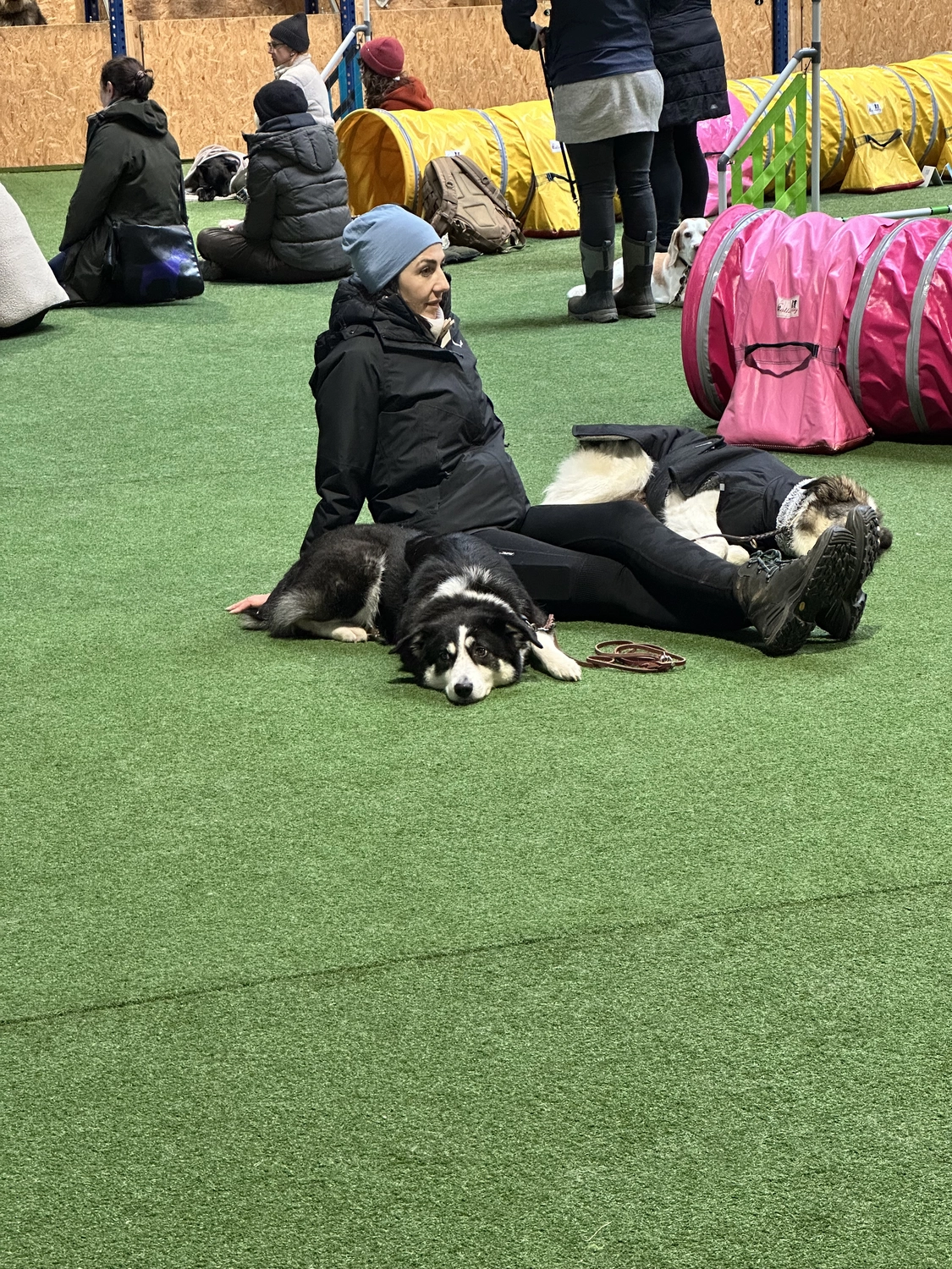 Ein Mann mit einer Hundecollage