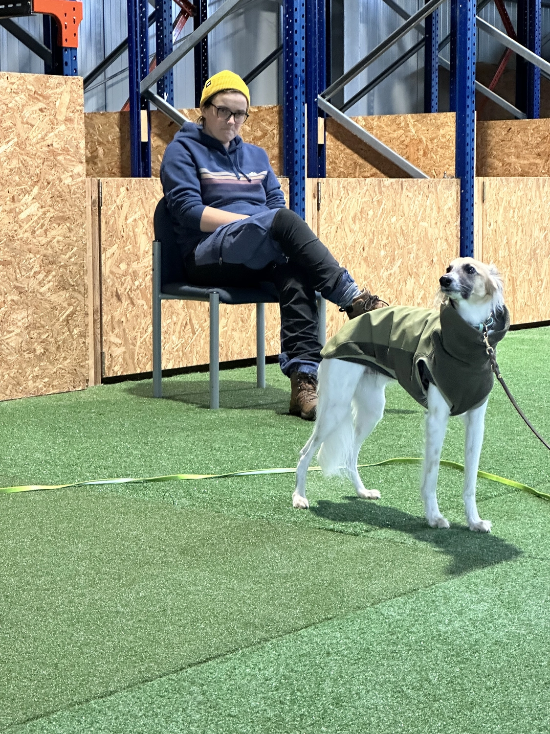 Ein Mann mit einer Hundecollage