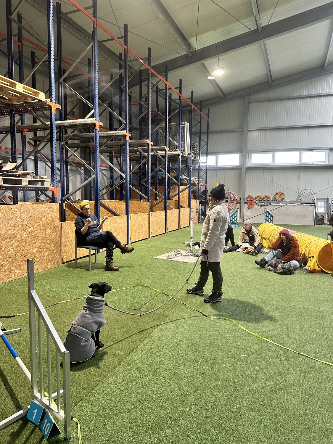 Ein Mann mit einer Hundecollage