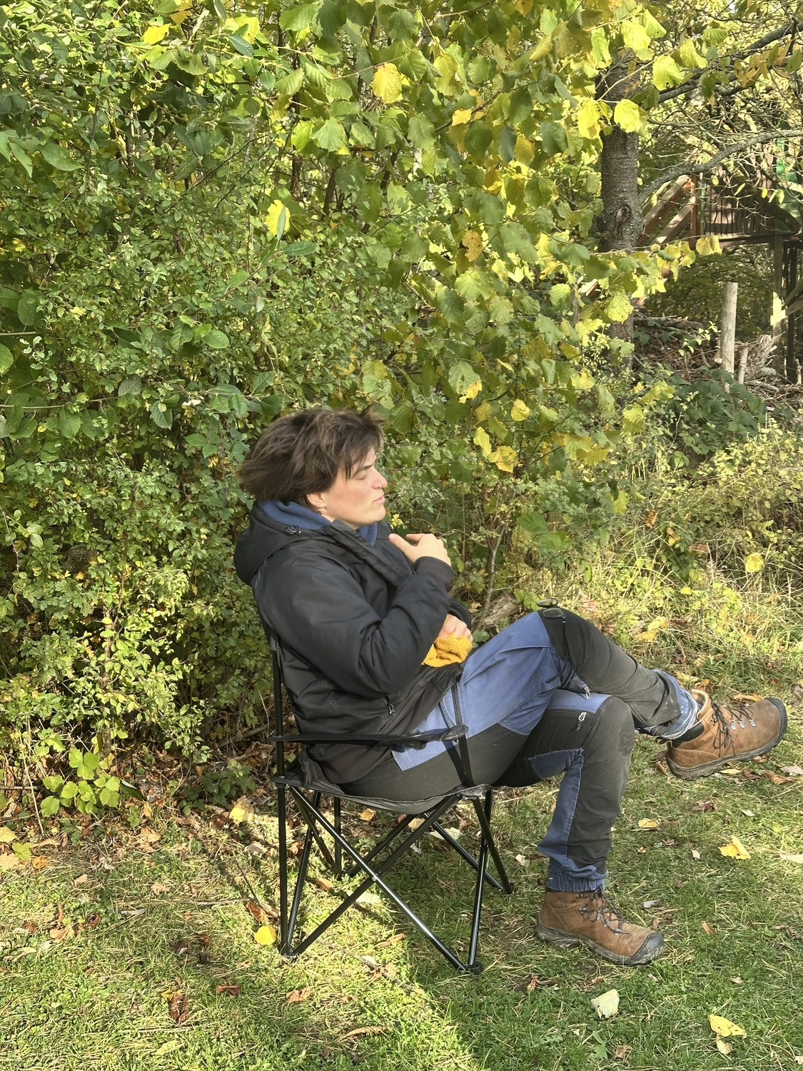 Ein Mann mit einer Hundecollage