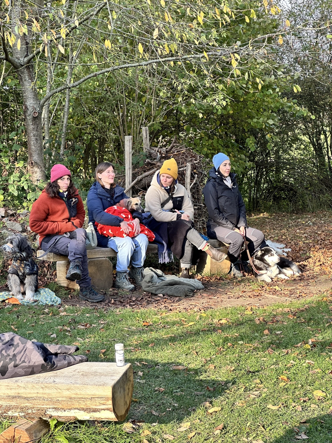 Ein Mann mit einer Hundecollage
