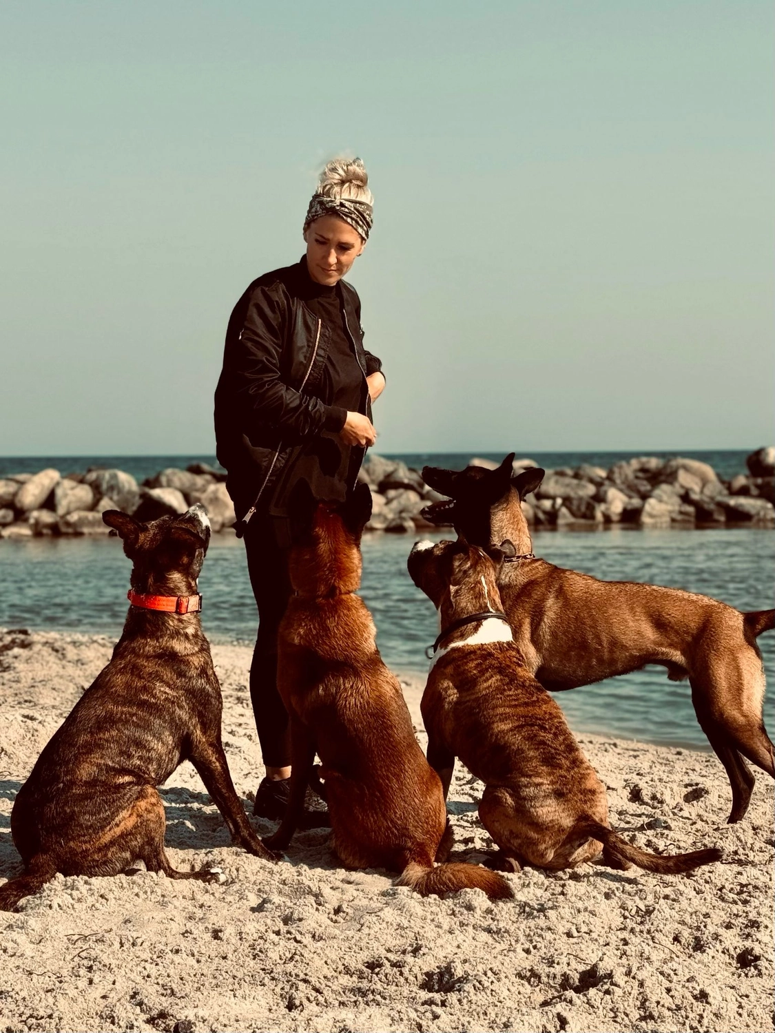 Ein Mann mit einer Hundecollage