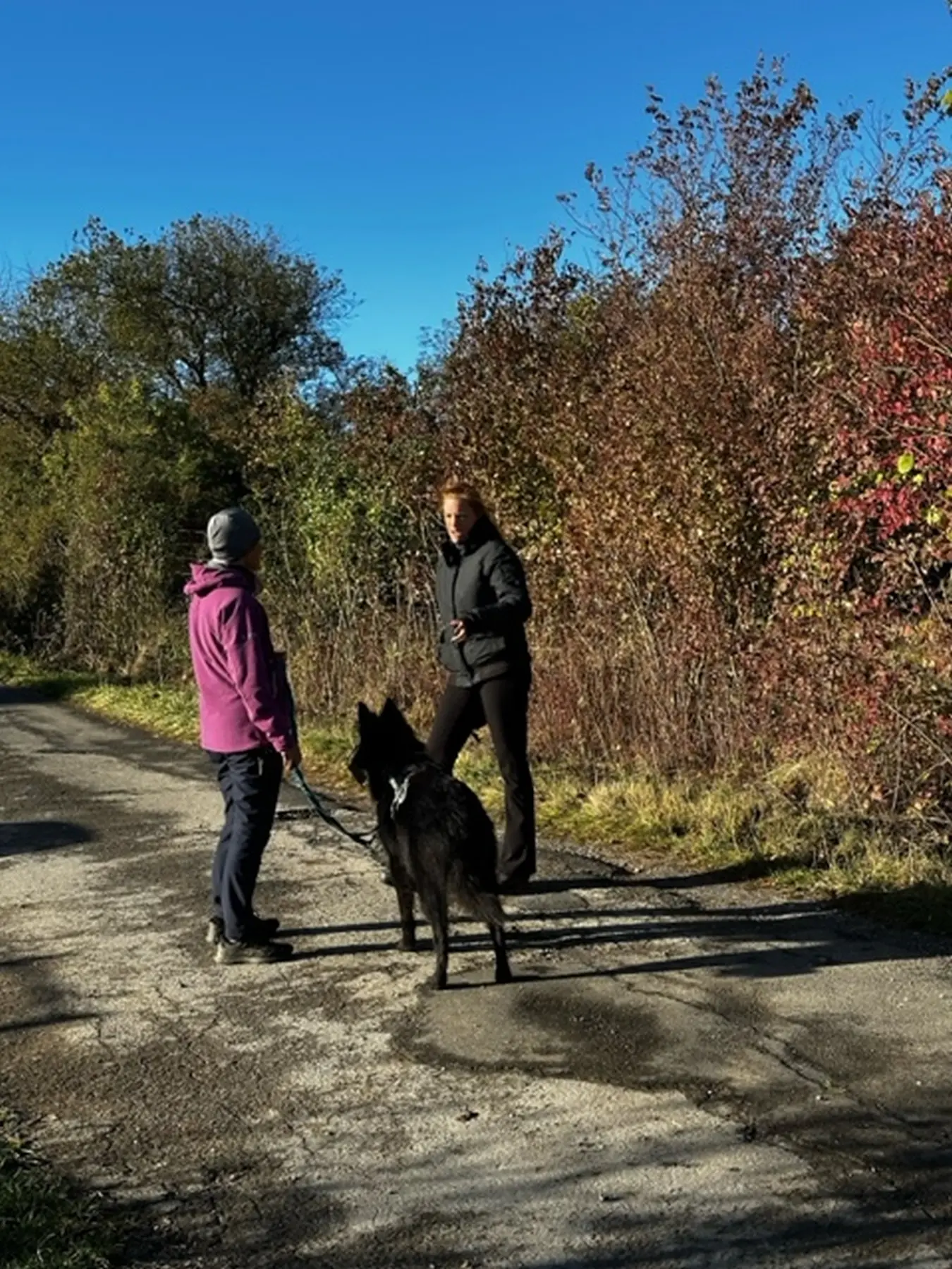 Mann leistet dem Hund Erste Hilfe von FellFibel